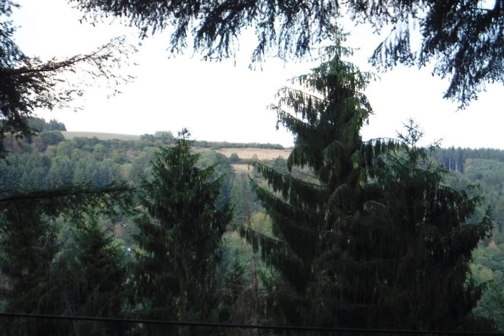 The Vianden Cottage - Charming Cottage In The Forest Luaran gambar