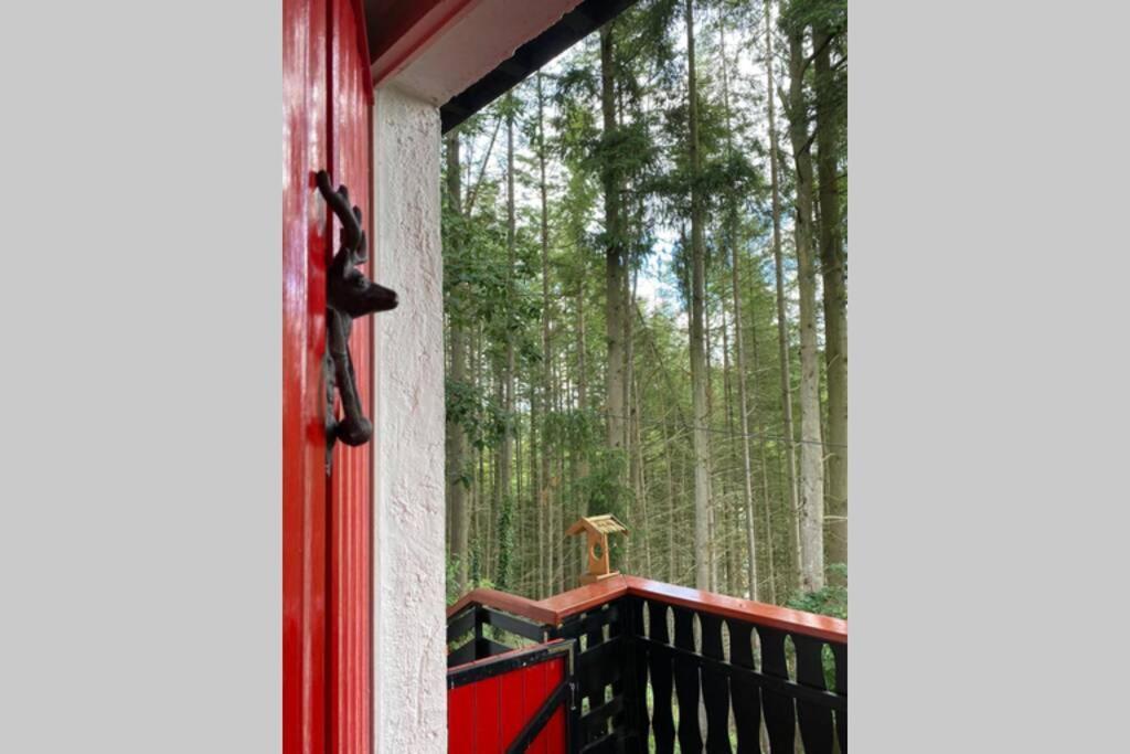 The Vianden Cottage - Charming Cottage In The Forest Luaran gambar